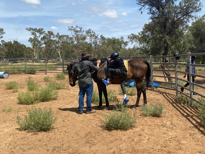 A horse stands in a large fenced outdoor area. A person stands holding the horse while another person is getting on