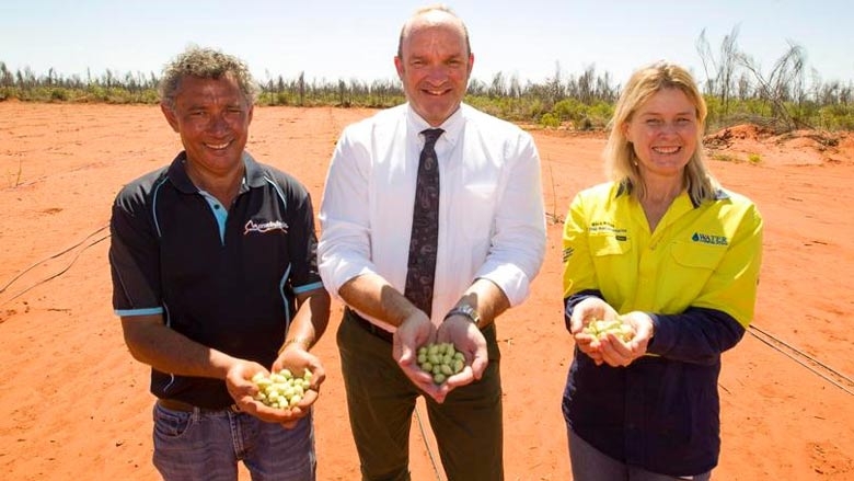 3 people hold green fruit in both hands towards the camera