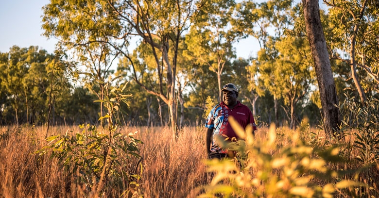 A man stands in hip-deep grass