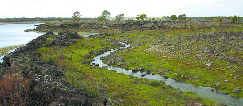 Green grass with a narrow stream of water running through it