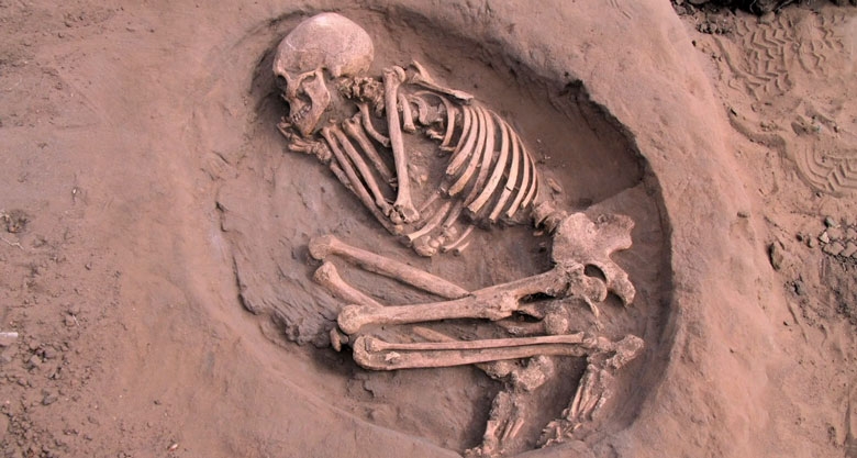 A human skeleton lies in a hole in the ground. Its arms and feet are curled in