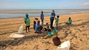 A group of people collecting rubbish on a beach