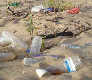 Empty plastic water bottles on a beach