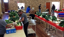 A number of tables with boxes containing leafy vegetables