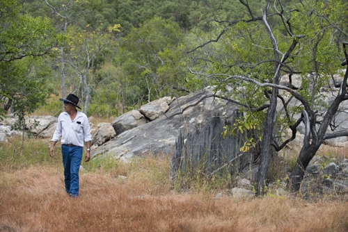 A man walks through natural bushland