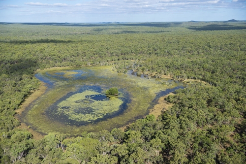 An aerial photo of green vegetation and water